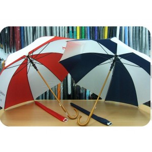 Long Umbrella